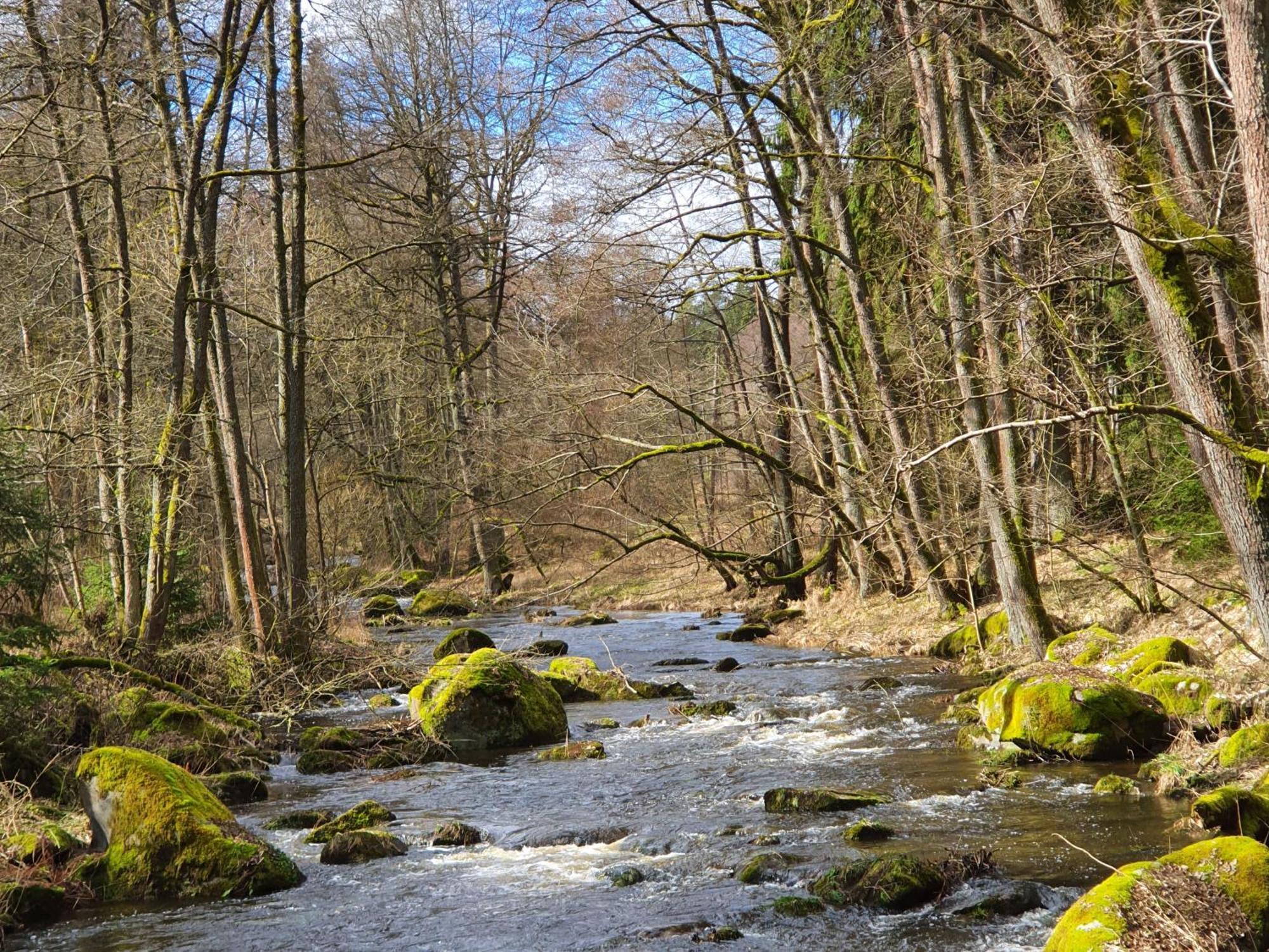 Ferienhaus Rosengarten Villa Selb Eksteriør billede