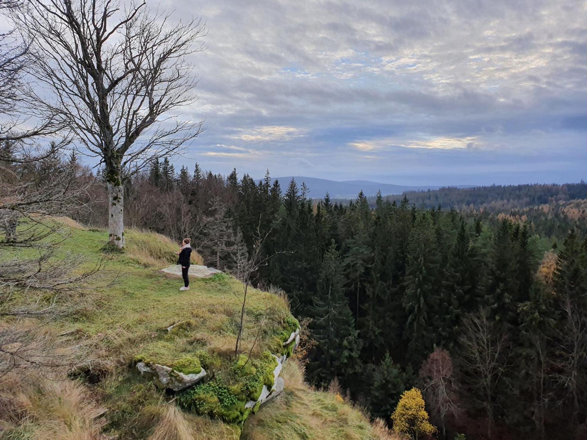 Ferienhaus Rosengarten Villa Selb Eksteriør billede